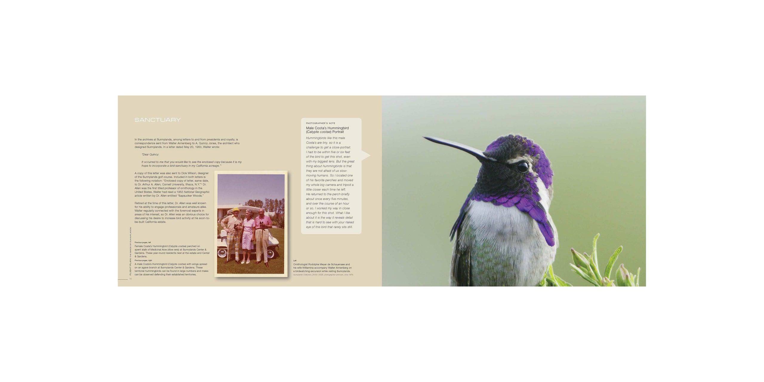 Flight Plan: The Birds of Sunnylands | Sunnylands Gift Shop